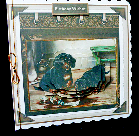 Naughty Puppies 6x6 Card with Pyramid Layers by Diane  Hitchcox