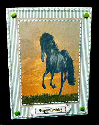 Beautiful Stallion Topper , with Verses by Diane  Hitchcox