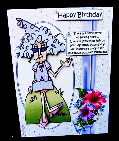 Stella the Perks of Getting Older by Diane  Hitchcox