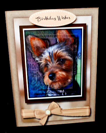 Beautiful Yorkshire Terrier Pup , Pyramid  by Diane  Hitchcox