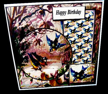 The Blue Tit by Diane  Hitchcox