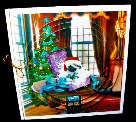 Yule Tide Magic - a Gift Baby Hedgehog Jed 6 + Insert & Tag by Diane  Hitchcox