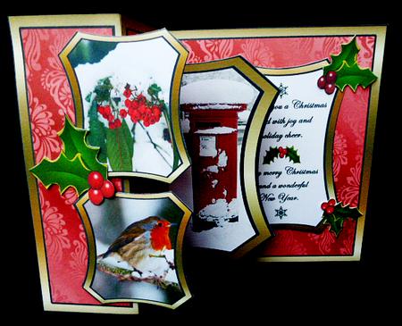 Fbp Postbox & Robin by Diane  Hitchcox