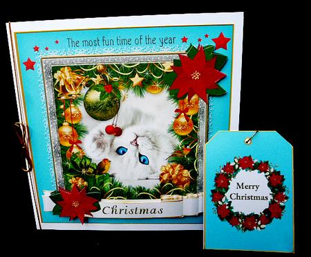 The Most Fun Time of the Year by Diane  Hitchcox
