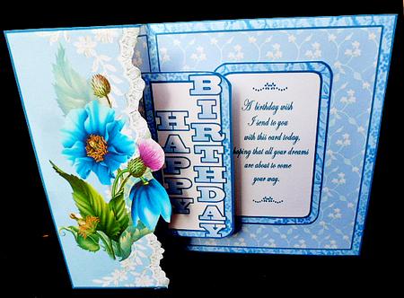 Fbp Himalayan Poppies by Diane  Hitchcox