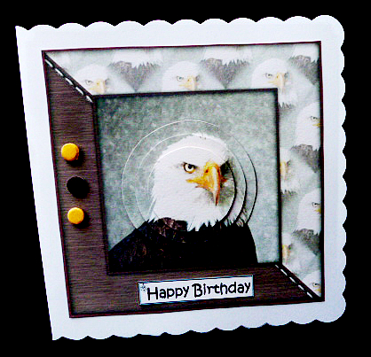 Eagle Watercolour 6x6 Card Front & Decoupage by Diane  Hitchcox