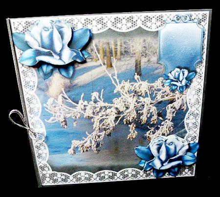 Winter Scene & Ice Roses by Diane  Hitchcox