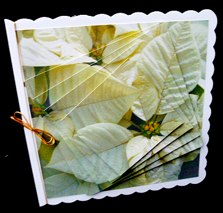 Yule Tide Magic-gorgeous White Poinsettia Pyrimid with Twist by Diane  Hitchcox