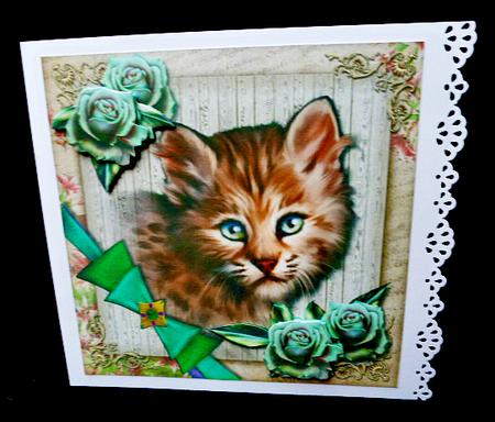 Beautiful Eyes -  by Diane  Hitchcox