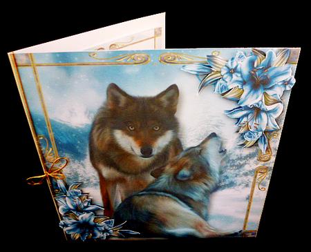 The Winter Wolves by Diane  Hitchcox