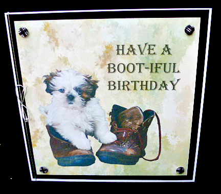 Have a Boot-iful Birthday (2) by Diane  Hitchcox