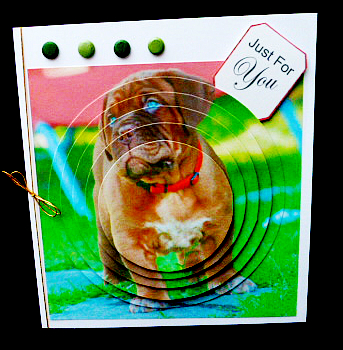 Furry Friends & Familiars - Puppy - Mastiff + Insert & Tag by Diane  Hitchcox