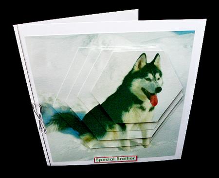 Furry Friends & Familiars - Dogs - Husky Pyrimage Insert+tag by Diane  Hitchcox