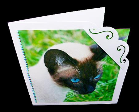 Furry Friends & Familiars - Cats - Siamese 3 + Insert & Tag by Diane  Hitchcox