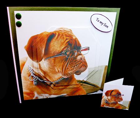 Furry Friends & Familiars - Dogs - Dog in Glasses +tag+ by Diane  Hitchcox