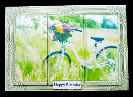 Bicycle with Flowers Panel Card by Diane  Hitchcox