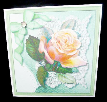 8x8 Beautiful Peach Rose on Eucra Lace . by Diane  Hitchcox