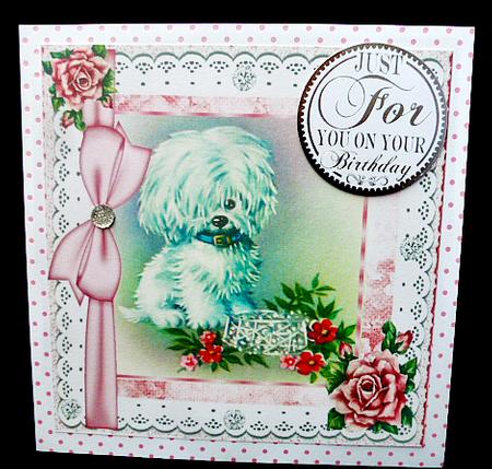 Cute Little White Pampered Dog with Roses, Lace & Diamonds by Diane  Hitchcox