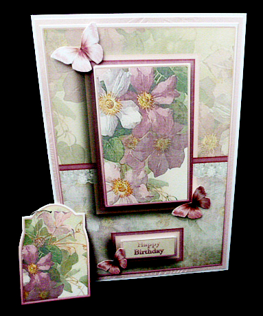 Cardtopper with Matching Envelope Magenta 733 by Diane  Hitchcox
