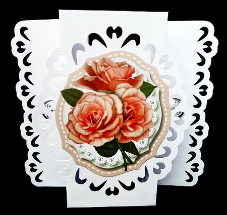 Peach Roses on Scalloped Lace  by Diane  Hitchcox