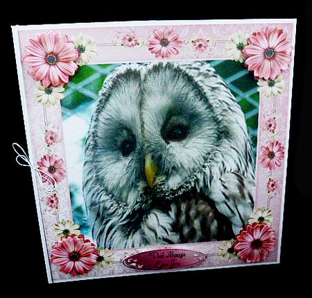 Beautiful Brown Owl with Pink Flowers 8x8 Mini Kit by Diane  Hitchcox