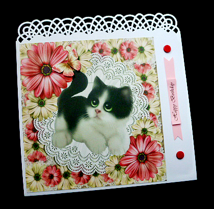Pretty Kitten in Pink and Cream Flowers 8x8 by Diane  Hitchcox