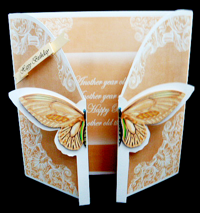 Borange Butterfly Old Timer 3D Gatefold Butterfly Mkit by Diane  Hitchcox