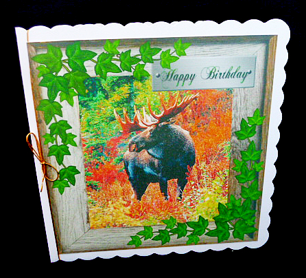 Moose & Ivy Decoupage Birthday Card by Diane  Hitchcox