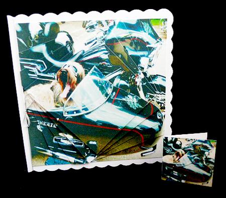Furry Friends & Familiars - Dogs - Bike & Sidecar Biker Dog+ by Diane  Hitchcox