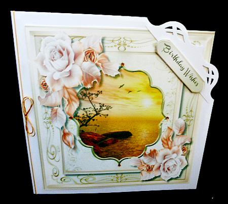 Beautiful Sunset and Roses  by Diane  Hitchcox