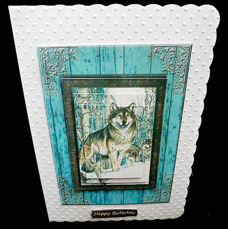 Blue Wolf by Diane  Hitchcox