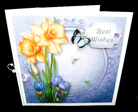 Daffodils & Crocus by Diane  Hitchcox