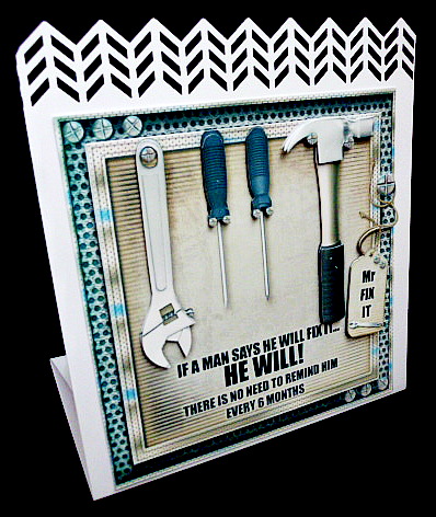 Mr Fix It by Diane  Hitchcox