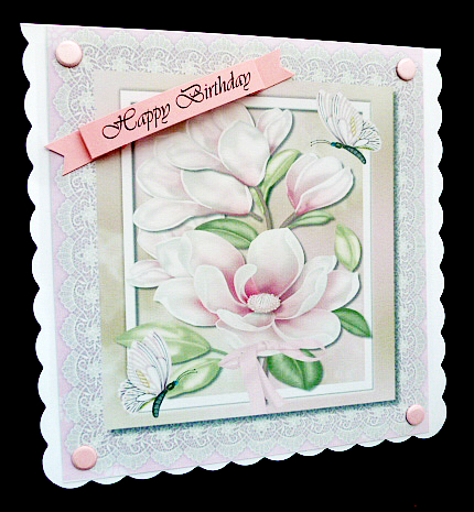 Lovely Soft Lilac Magnolias on Lace  by Diane  Hitchcox