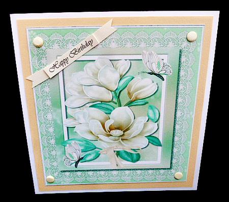 Lovely Soft Cream Magnolias on Lace  by Diane  Hitchcox