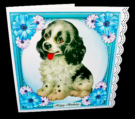 Lovely Cavelire Spaniel Pup by Diane  Hitchcox
