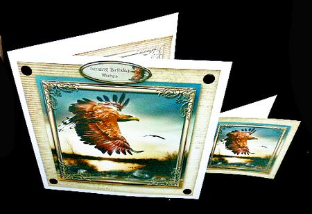 Flight of the Eagle by Diane  Hitchcox