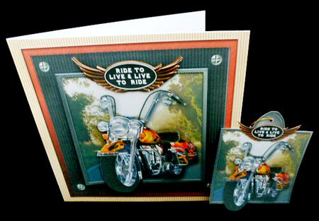 Live to Ride 8x8 Cycle Kit by Diane  Hitchcox