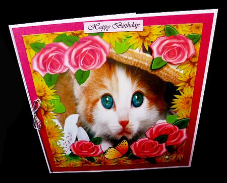 Kitty Time by Diane  Hitchcox