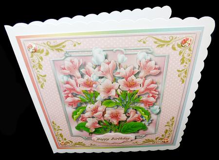 Beautiful Flowers for a Special Occassions,  by Diane  Hitchcox