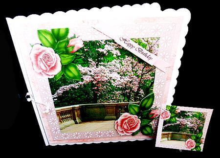 Pretty Verander of Pink Blossoms and Roses 8x8 by Diane  Hitchcox