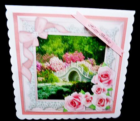 Beautiful Pink Roses on a Lace Frame  by Diane  Hitchcox