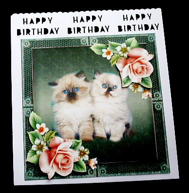 Cats and Pink Roses by Diane  Hitchcox