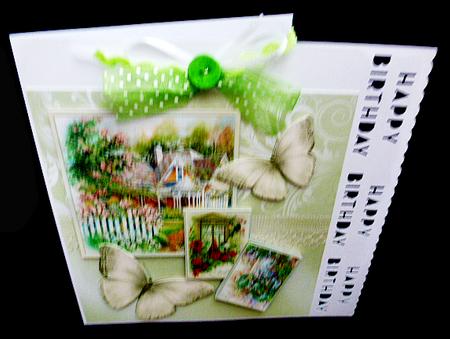 Wiew and Butterflies by Diane  Hitchcox