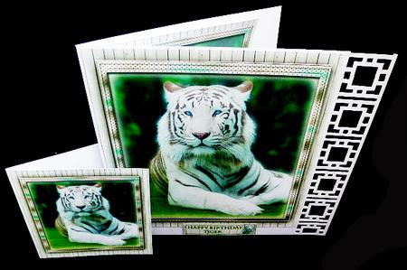 Tiger Tiger by Diane  Hitchcox
