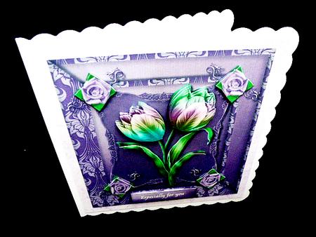 Tulips from Amsterdam by Diane  Hitchcox