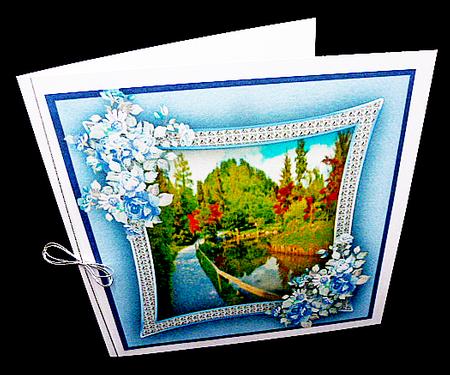 Lovely Blue Flowers and Scene  by Diane  Hitchcox