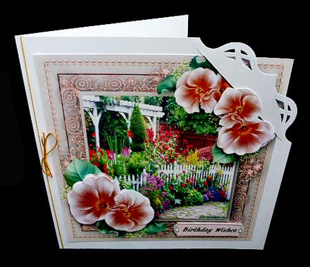 Beautiful Roses and Garden  by Diane  Hitchcox