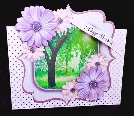 Beautiful Double Bracket and Daisy's  by Diane  Hitchcox