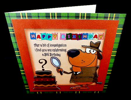 Detective Work by Diane  Hitchcox